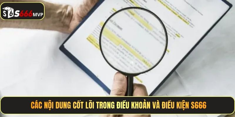 Các nội dung cốt lõi trong điều khoản và điều kiện S666